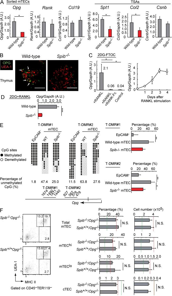 https://cdn.ncbi.nlm.nih.gov/pmc/blobs/e594/4235644/f1c3bc8921a8/JEM_20141207_Fig3.jpg