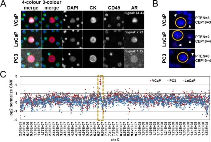 https://cdn.ncbi.nlm.nih.gov/pmc/blobs/e596/5572988/68f33958c240/10.5772_60725-fig5.jpg