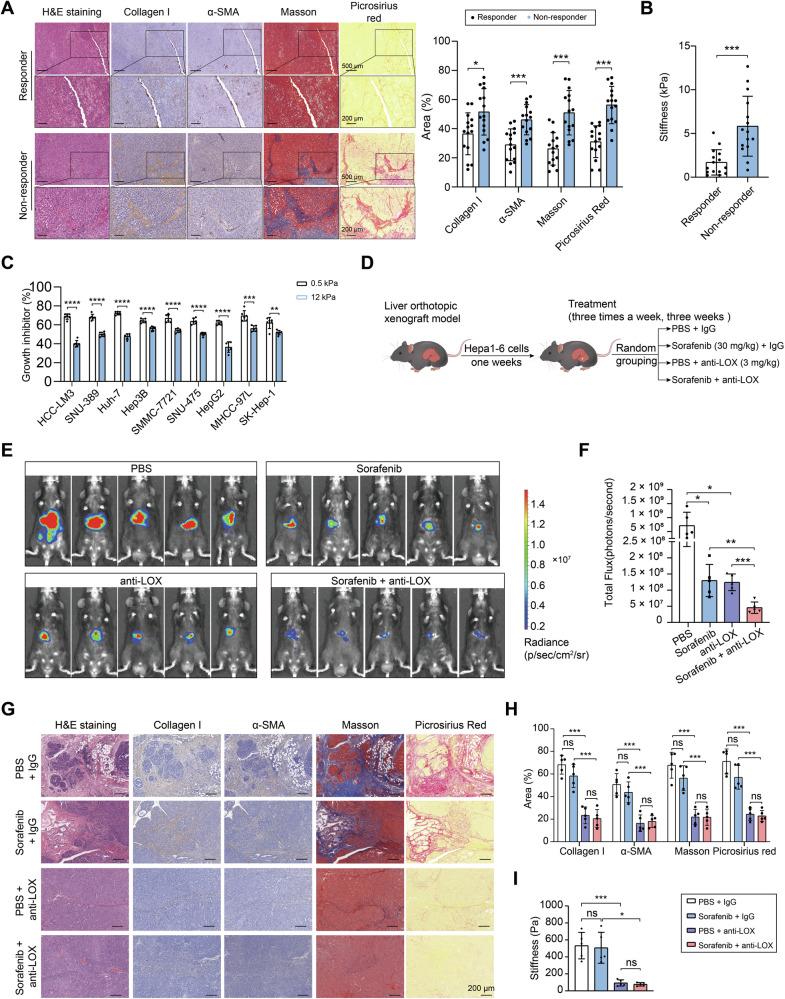 https://cdn.ncbi.nlm.nih.gov/pmc/blobs/e597/12277399/44625fb7bf3e/41419_2025_7842_Fig2_HTML.jpg
