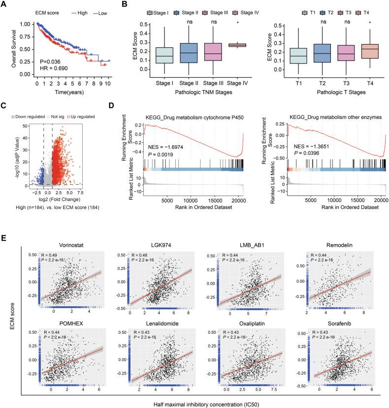 https://cdn.ncbi.nlm.nih.gov/pmc/blobs/e597/12277399/89363e2a2b23/41419_2025_7842_Fig1_HTML.jpg