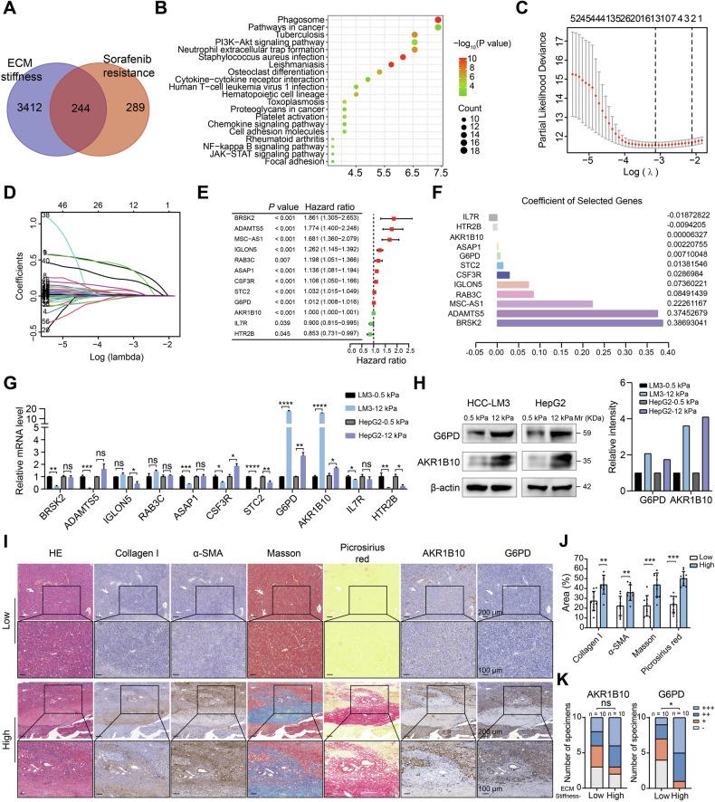 https://cdn.ncbi.nlm.nih.gov/pmc/blobs/e597/12277399/ca9a2b8aa4dd/41419_2025_7842_Fig3_HTML.jpg