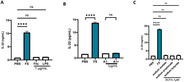 https://cdn.ncbi.nlm.nih.gov/pmc/blobs/e599/11729933/570305d244ce/pone.0317248.g002.jpg