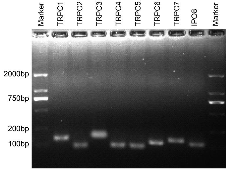 https://cdn.ncbi.nlm.nih.gov/pmc/blobs/e59a/6015152/e1856852773d/zgfazz-13-6-612-1.jpg