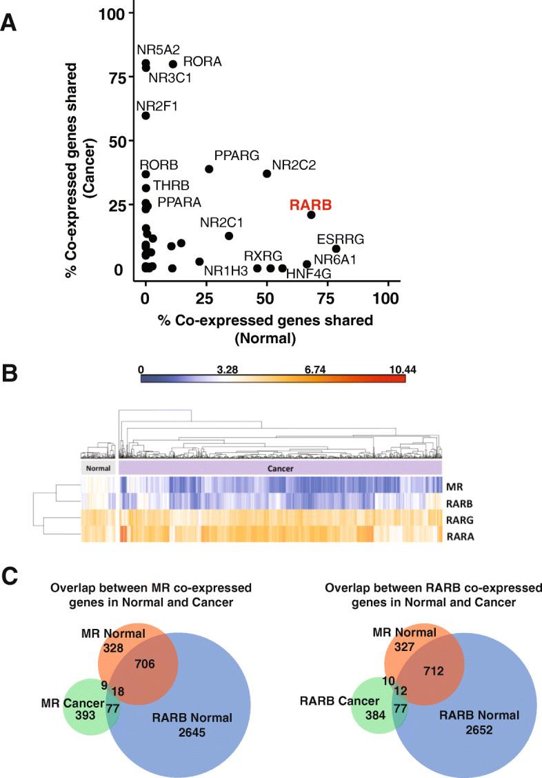 https://cdn.ncbi.nlm.nih.gov/pmc/blobs/e59a/7641839/43c5ff67494b/13058_2020_1355_Fig2_HTML.jpg