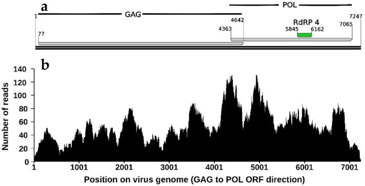 https://cdn.ncbi.nlm.nih.gov/pmc/blobs/e59b/9231314/c09d23fe2b9e/viruses-14-01274-g002.jpg