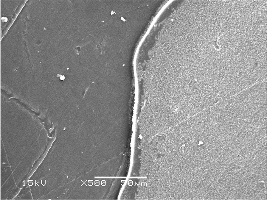 https://cdn.ncbi.nlm.nih.gov/pmc/blobs/e59c/9795761/a920c8e010c8/12903_2022_2672_Fig8_HTML.jpg