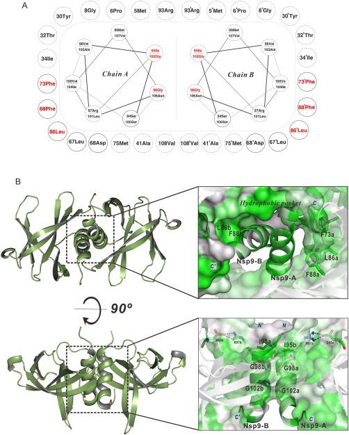 https://cdn.ncbi.nlm.nih.gov/pmc/blobs/e59f/5405427/b39c5bf96866/PRO-26-1037-g002.jpg