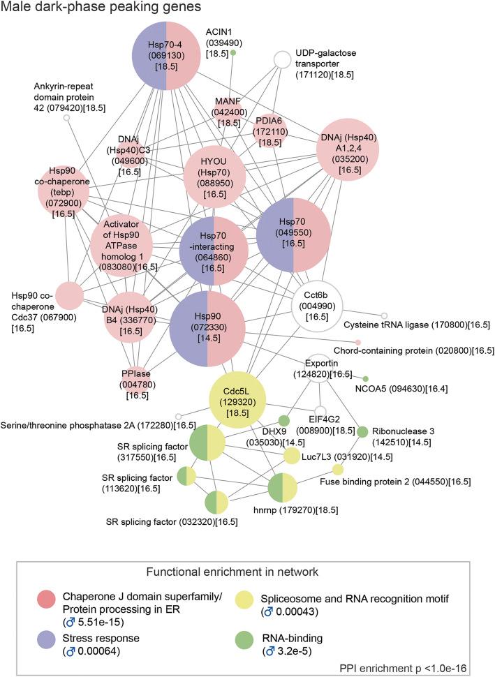 https://cdn.ncbi.nlm.nih.gov/pmc/blobs/e5a0/8638415/0a4f3f9becd4/12915_2021_1189_Fig2_HTML.jpg