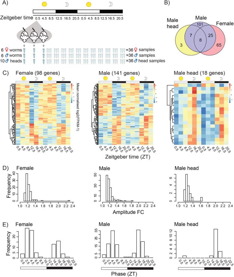 https://cdn.ncbi.nlm.nih.gov/pmc/blobs/e5a0/8638415/669552ca6b6a/12915_2021_1189_Fig1_HTML.jpg