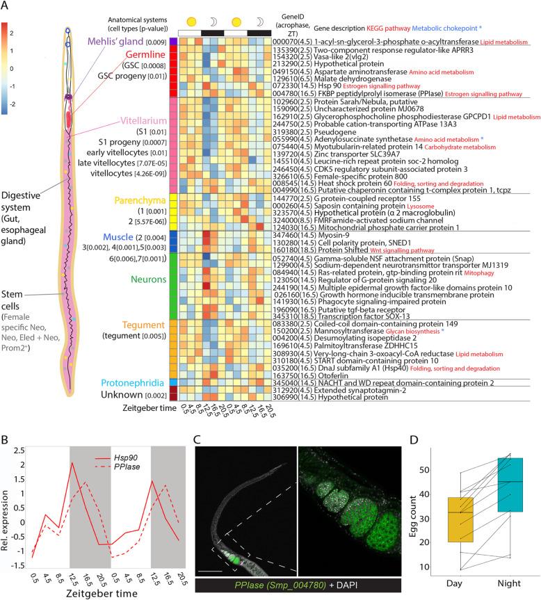 https://cdn.ncbi.nlm.nih.gov/pmc/blobs/e5a0/8638415/abe08f7eb2ef/12915_2021_1189_Fig4_HTML.jpg