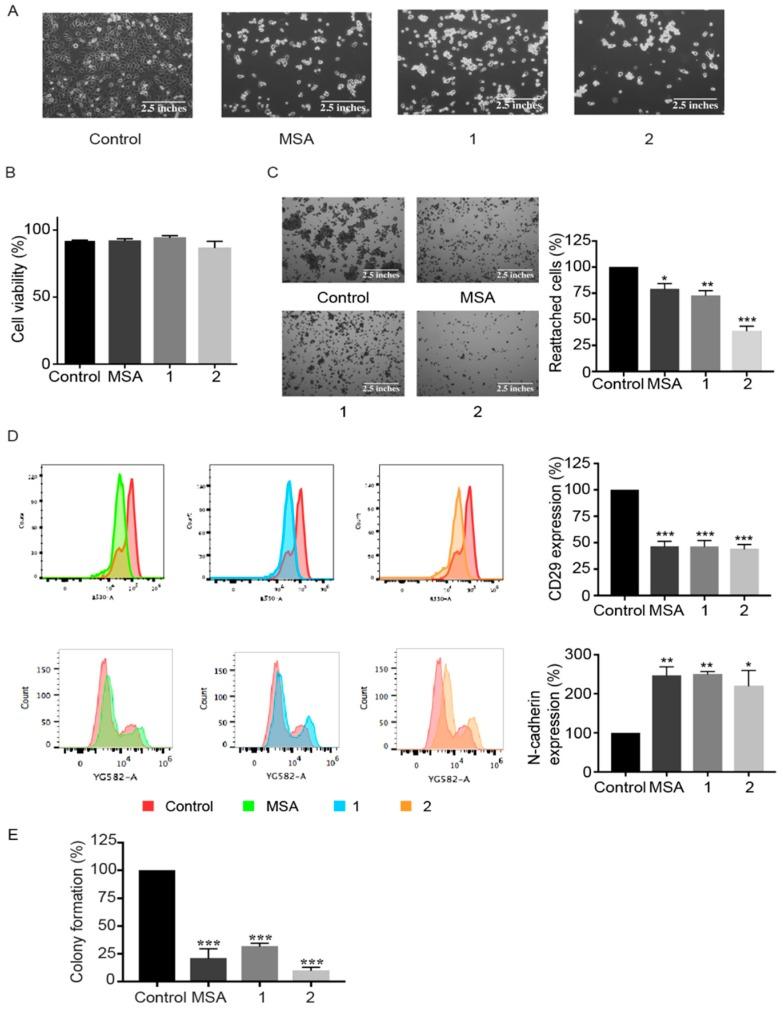 https://cdn.ncbi.nlm.nih.gov/pmc/blobs/e5a3/6213452/0b8e4f625f17/ijms-19-02849-g003.jpg