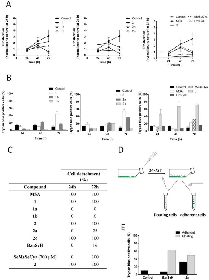 https://cdn.ncbi.nlm.nih.gov/pmc/blobs/e5a3/6213452/c9e5bd7a8551/ijms-19-02849-g005.jpg