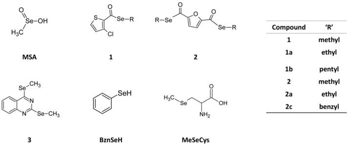 https://cdn.ncbi.nlm.nih.gov/pmc/blobs/e5a3/6213452/d6c9c96ce61b/ijms-19-02849-g001.jpg