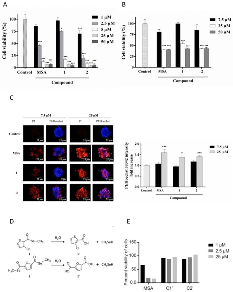 https://cdn.ncbi.nlm.nih.gov/pmc/blobs/e5a3/6213452/db0568a4d0a1/ijms-19-02849-g002.jpg
