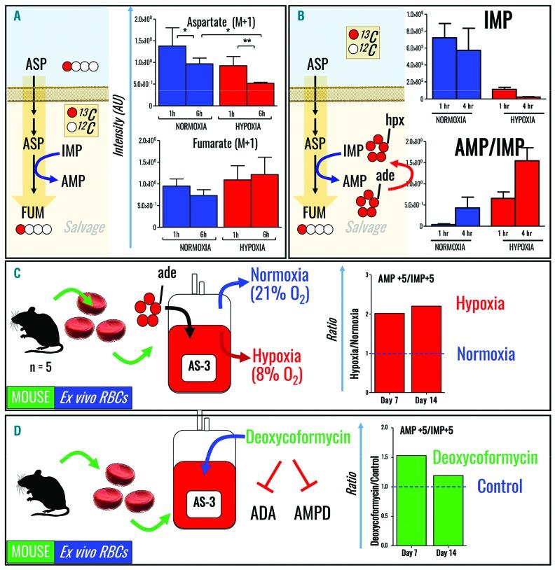 https://cdn.ncbi.nlm.nih.gov/pmc/blobs/e5a5/5792281/0202631e4f1d/103361.fig7.jpg