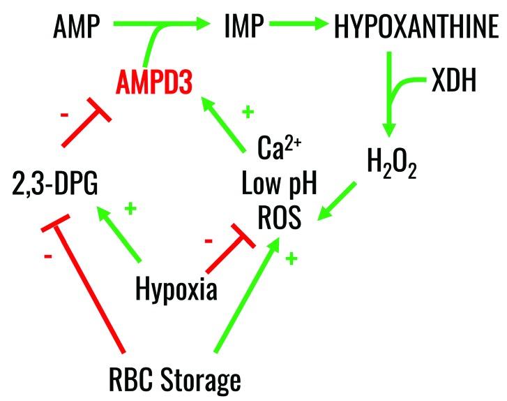 https://cdn.ncbi.nlm.nih.gov/pmc/blobs/e5a5/5792281/09a4753e2b34/103361.fig8.jpg