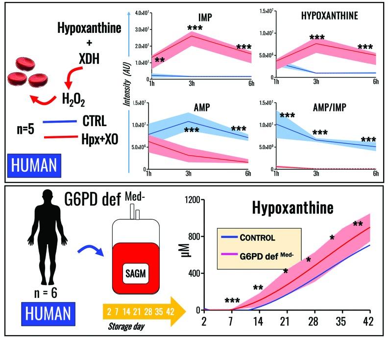 https://cdn.ncbi.nlm.nih.gov/pmc/blobs/e5a5/5792281/8ff00901bee1/103361.fig6.jpg