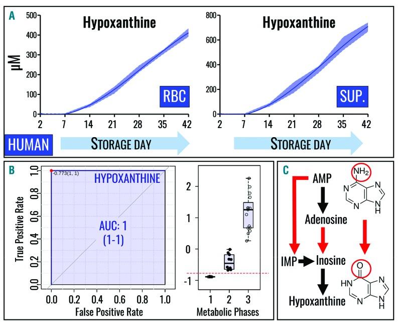 https://cdn.ncbi.nlm.nih.gov/pmc/blobs/e5a5/5792281/a6130c013c3d/103361.fig1.jpg