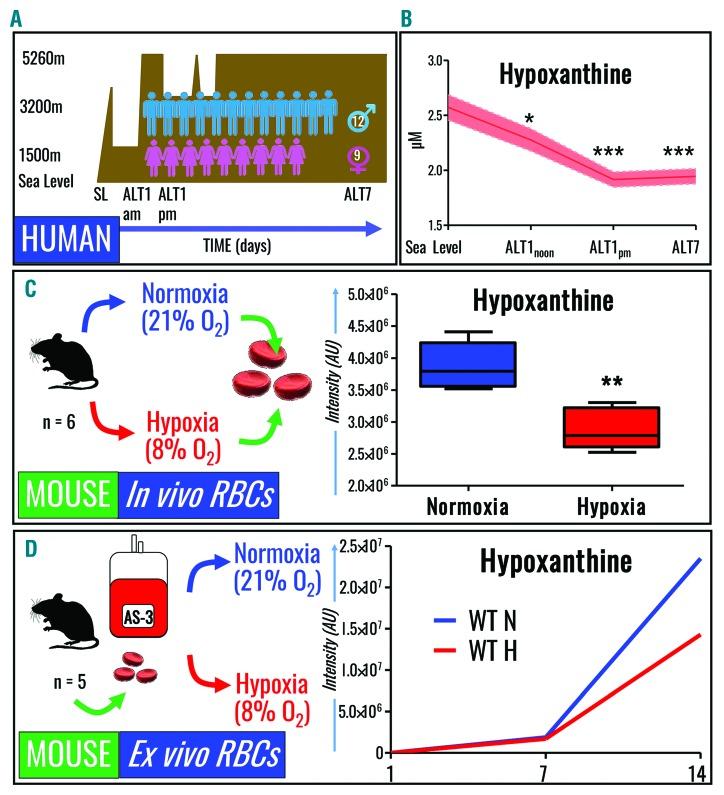 https://cdn.ncbi.nlm.nih.gov/pmc/blobs/e5a5/5792281/f92476ee857a/103361.fig3.jpg