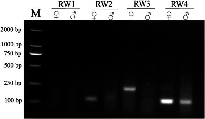 https://cdn.ncbi.nlm.nih.gov/pmc/blobs/e5a8/12279397/e370ba7f301a/ECE3-15-e71780-g001.jpg