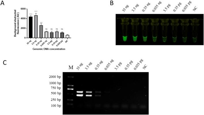 https://cdn.ncbi.nlm.nih.gov/pmc/blobs/e5a8/12279397/fe24e7fcc3b7/ECE3-15-e71780-g004.jpg