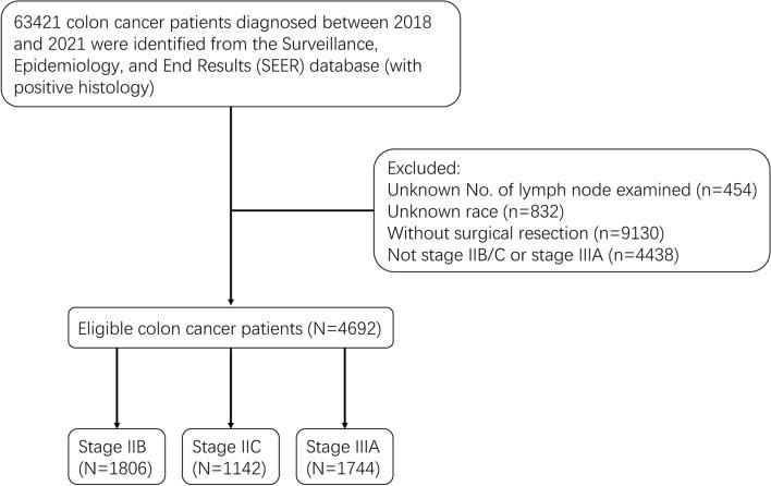 https://cdn.ncbi.nlm.nih.gov/pmc/blobs/e5ac/11436827/af5183a9645f/41598_2024_73496_Fig1_HTML.jpg
