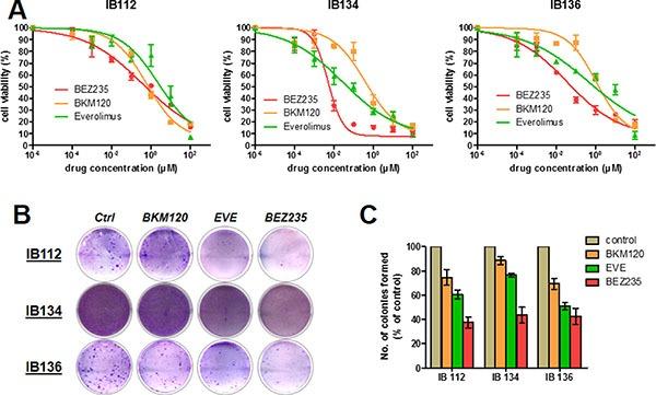 https://cdn.ncbi.nlm.nih.gov/pmc/blobs/e5ad/5352367/90811696834f/oncotarget-08-7878-g002.jpg