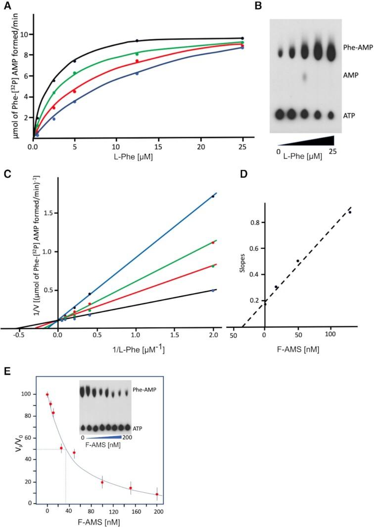 https://cdn.ncbi.nlm.nih.gov/pmc/blobs/e5af/8136816/db1079fd3d09/gkab272fig2.jpg
