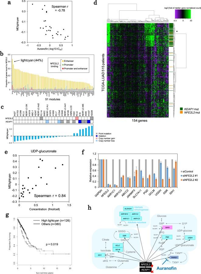 https://cdn.ncbi.nlm.nih.gov/pmc/blobs/e5b0/6925249/0521a3930754/41598_2019_55692_Fig4_HTML.jpg