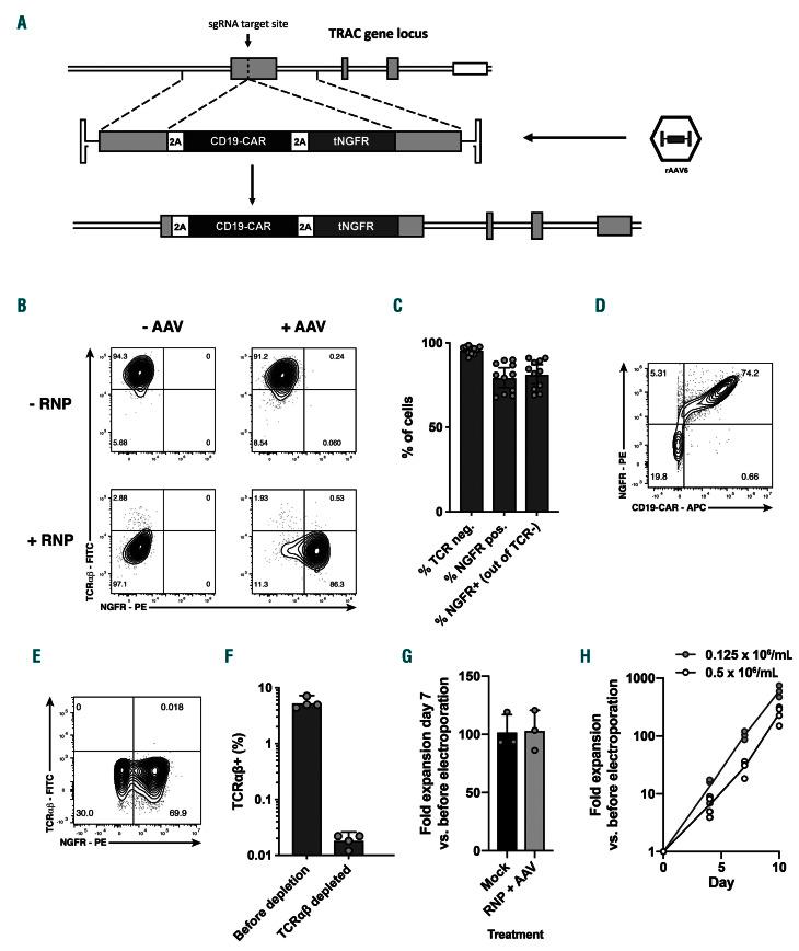 https://cdn.ncbi.nlm.nih.gov/pmc/blobs/e5b0/7928014/6249de9db6ff/106847.fig2.jpg
