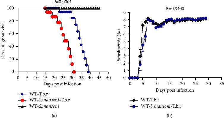 https://cdn.ncbi.nlm.nih.gov/pmc/blobs/e5b6/10637842/cf9029028985/JTM2023-1063169.001.jpg