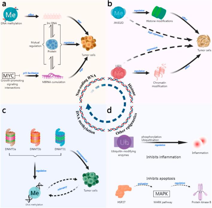 https://cdn.ncbi.nlm.nih.gov/pmc/blobs/e5b9/12089089/368cfc07e8e6/fphar-16-1588857-g001.jpg