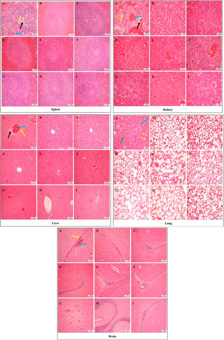 https://cdn.ncbi.nlm.nih.gov/pmc/blobs/e5b9/4496672/486ccce4a9f7/srep11886-f3.jpg
