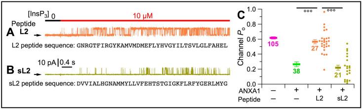 https://cdn.ncbi.nlm.nih.gov/pmc/blobs/e5b9/7259957/8ffdd71e96ef/elife-53531-fig8.jpg
