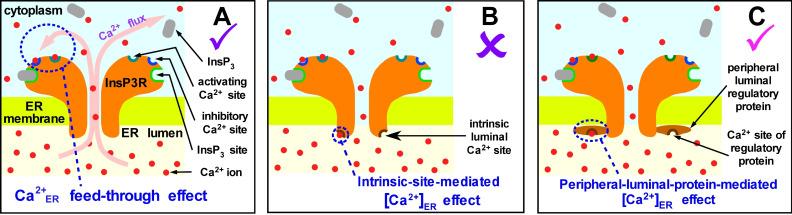 https://cdn.ncbi.nlm.nih.gov/pmc/blobs/e5b9/7259957/be080b907de7/elife-53531-fig2.jpg