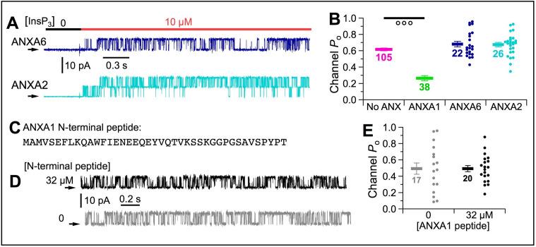 https://cdn.ncbi.nlm.nih.gov/pmc/blobs/e5b9/7259957/f80861080587/elife-53531-fig10.jpg