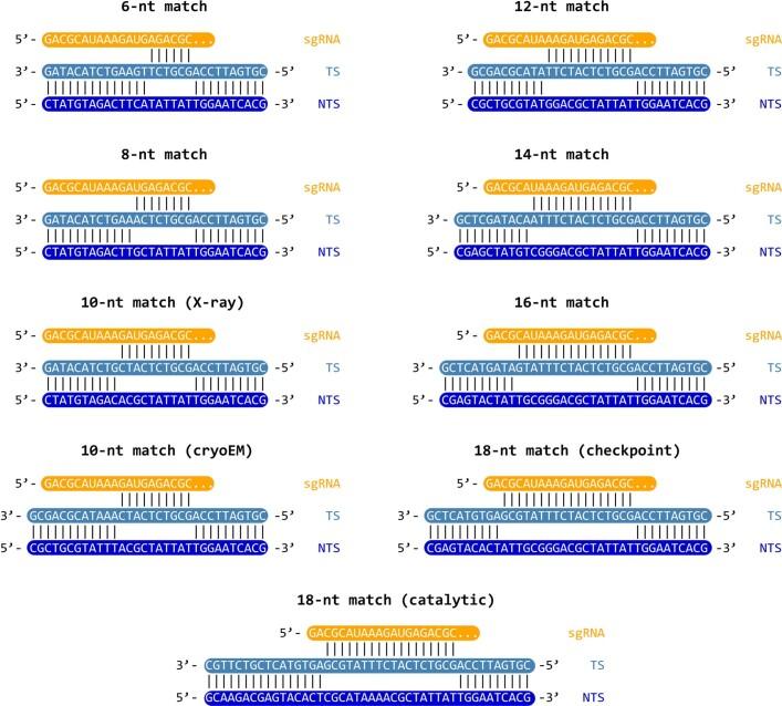 https://cdn.ncbi.nlm.nih.gov/pmc/blobs/e5b9/9433323/24e3d8fd88ed/41586_2022_5114_Fig6_ESM.jpg