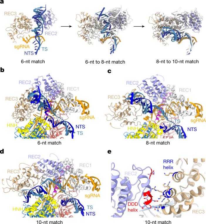 https://cdn.ncbi.nlm.nih.gov/pmc/blobs/e5b9/9433323/26c34a70f3e5/41586_2022_5114_Fig2_HTML.jpg
