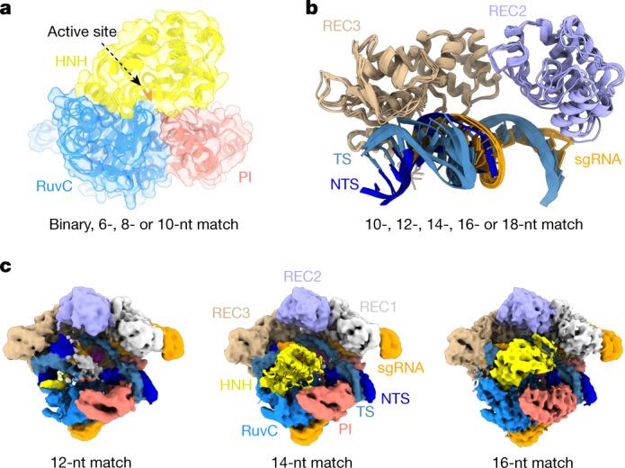 https://cdn.ncbi.nlm.nih.gov/pmc/blobs/e5b9/9433323/46f302657043/41586_2022_5114_Fig3_HTML.jpg