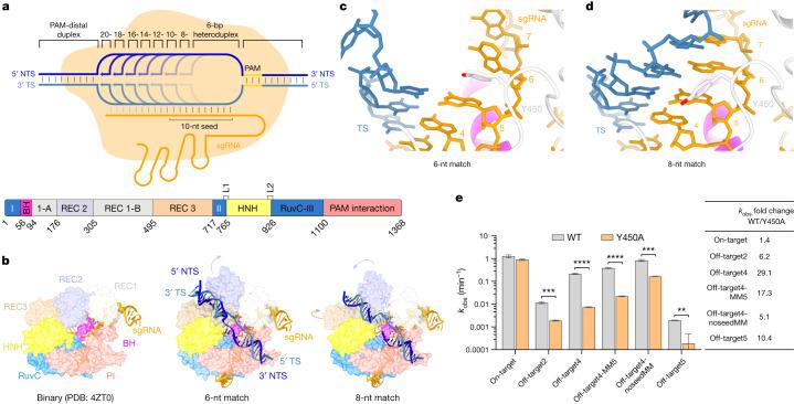 https://cdn.ncbi.nlm.nih.gov/pmc/blobs/e5b9/9433323/f524904efa93/41586_2022_5114_Fig1_HTML.jpg