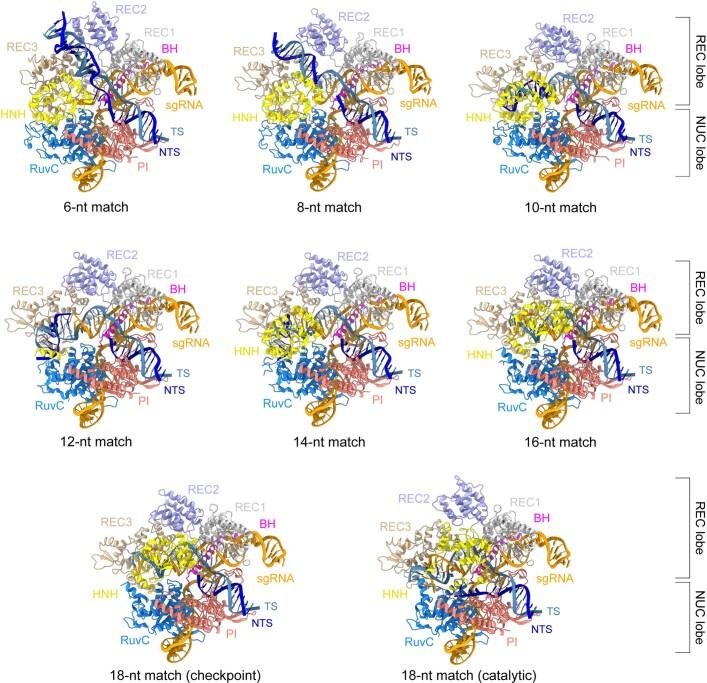 https://cdn.ncbi.nlm.nih.gov/pmc/blobs/e5b9/9433323/fe1cf659dc20/41586_2022_5114_Fig8_ESM.jpg