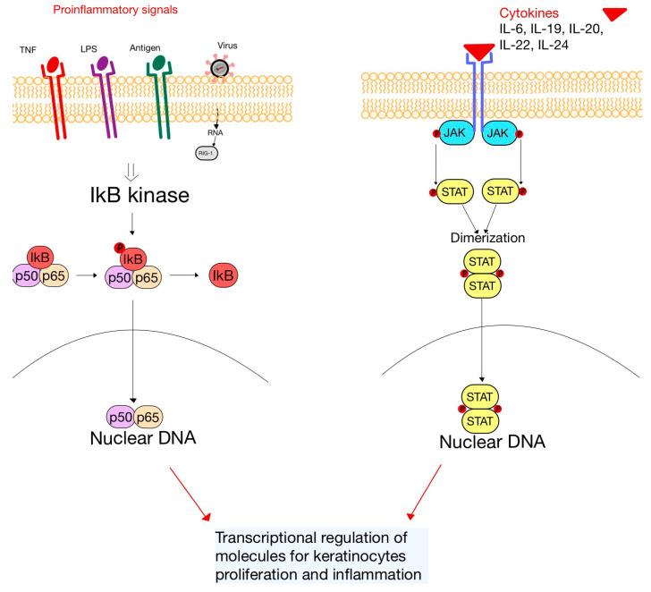 https://cdn.ncbi.nlm.nih.gov/pmc/blobs/e5ba/10670244/2a1e1a5926bc/diagnostics-13-03398-g005.jpg
