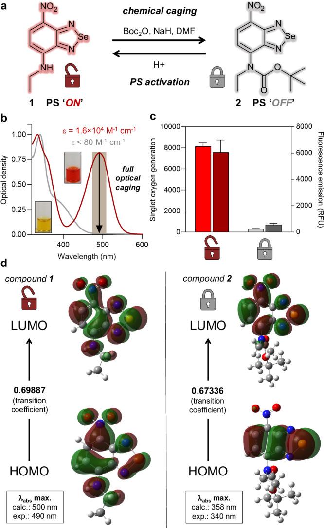 https://cdn.ncbi.nlm.nih.gov/pmc/blobs/e5bb/11372191/246045c0d050/41467_2024_51872_Fig1_HTML.jpg