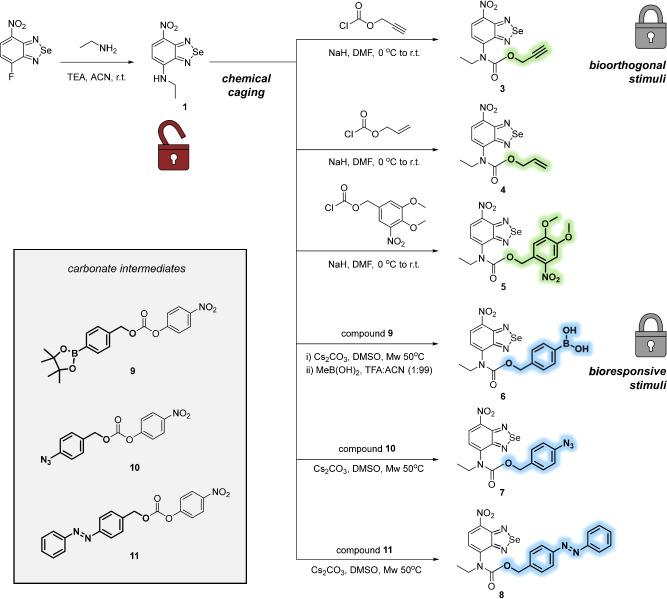 https://cdn.ncbi.nlm.nih.gov/pmc/blobs/e5bb/11372191/3841c2501d9d/41467_2024_51872_Fig2_HTML.jpg