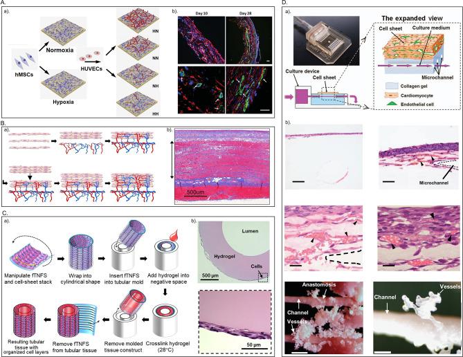 https://cdn.ncbi.nlm.nih.gov/pmc/blobs/e5bb/11438047/0150b63226cd/13287_2024_3937_Fig7_HTML.jpg