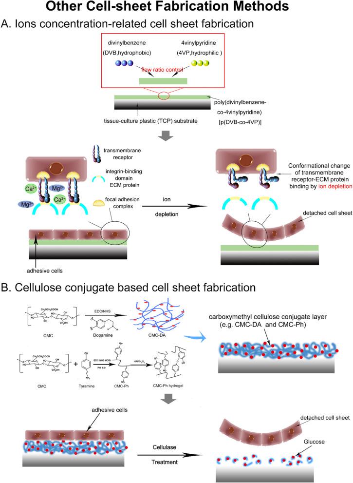 https://cdn.ncbi.nlm.nih.gov/pmc/blobs/e5bb/11438047/3c1d0c23c082/13287_2024_3937_Fig5_HTML.jpg