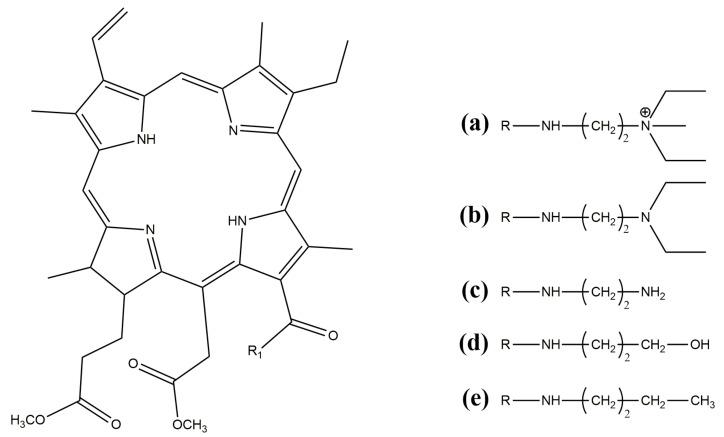 https://cdn.ncbi.nlm.nih.gov/pmc/blobs/e5bd/10780539/06e305a5dbc2/polymers-16-00101-g001.jpg