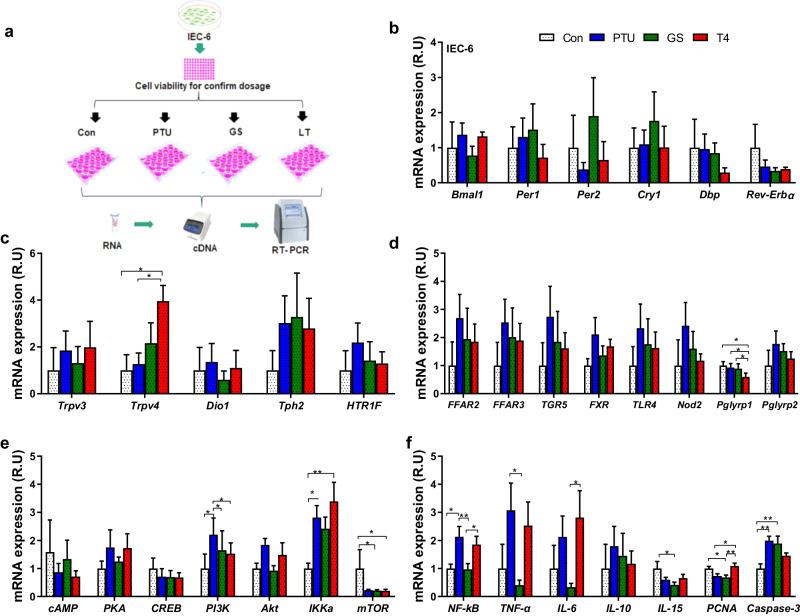 https://cdn.ncbi.nlm.nih.gov/pmc/blobs/e5c0/10950852/256f42a15ce9/41522_2024_498_Fig5_HTML.jpg