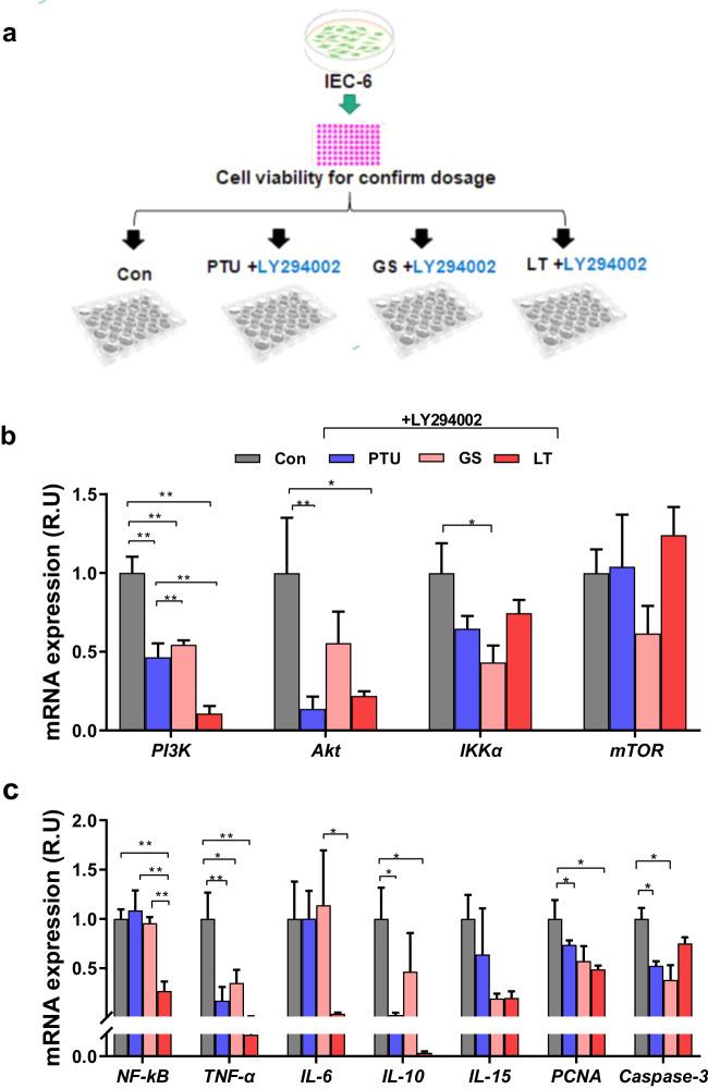 https://cdn.ncbi.nlm.nih.gov/pmc/blobs/e5c0/10950852/930c0dce8336/41522_2024_498_Fig6_HTML.jpg