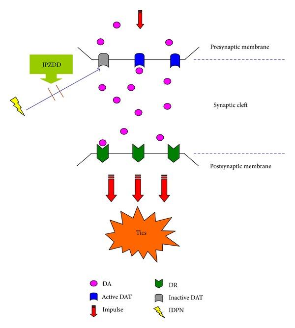 https://cdn.ncbi.nlm.nih.gov/pmc/blobs/e5c3/3574653/03fe5db3fb59/ECAM2013-385685.004.jpg